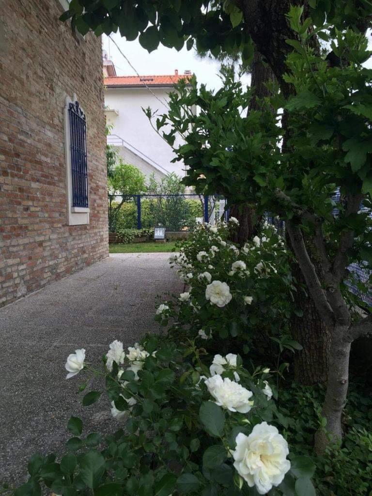 La Casa Della Cicogna Una Casa Al Mare Ideale Anche Per Gli Impegni Di Lavoro O Studio Villa Bellocchi Buitenkant foto