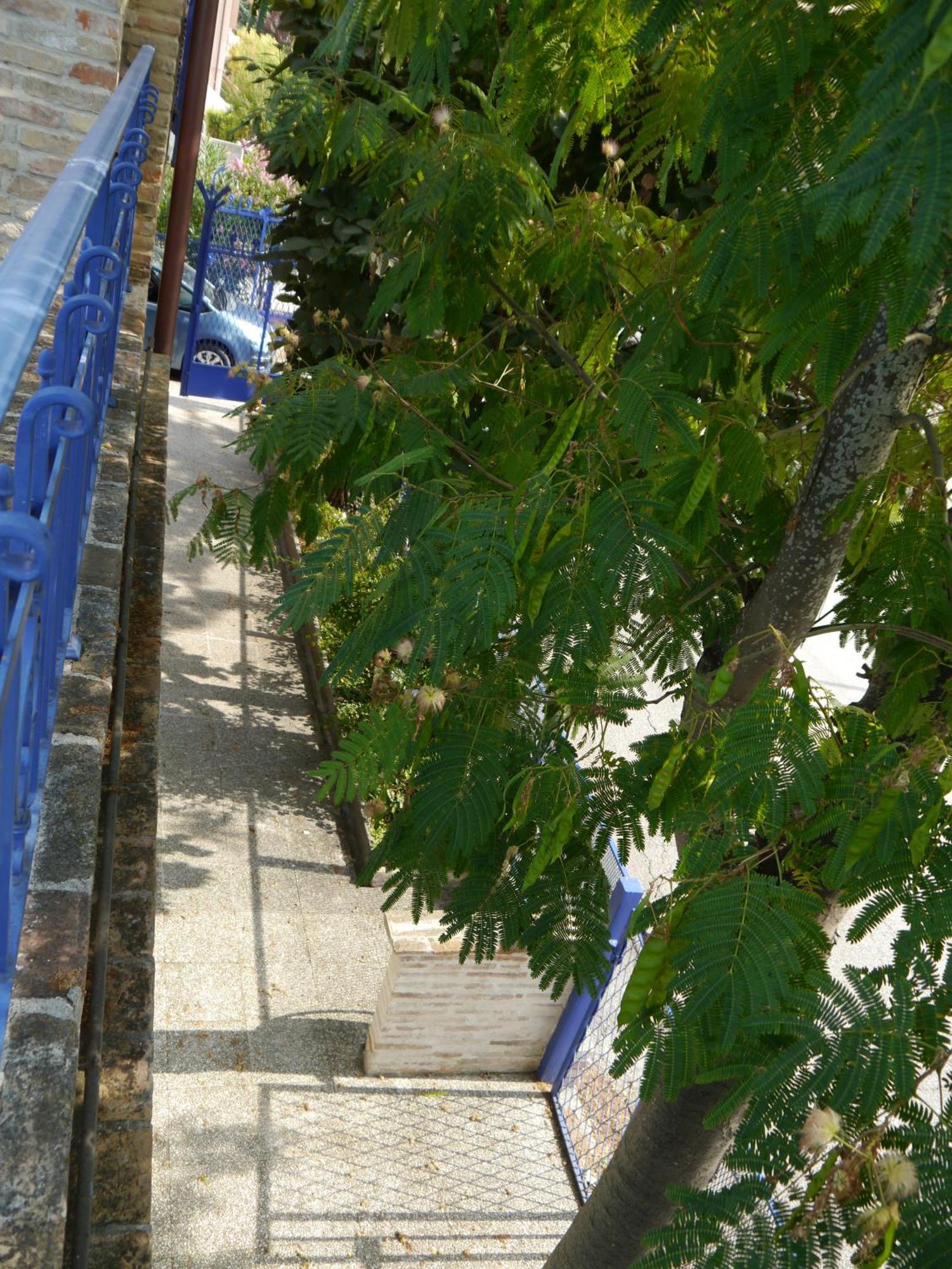 La Casa Della Cicogna Una Casa Al Mare Ideale Anche Per Gli Impegni Di Lavoro O Studio Villa Bellocchi Buitenkant foto